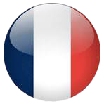 Language flag